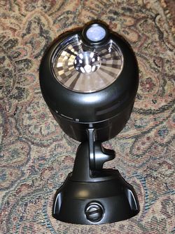 Brand New Beams spotlight