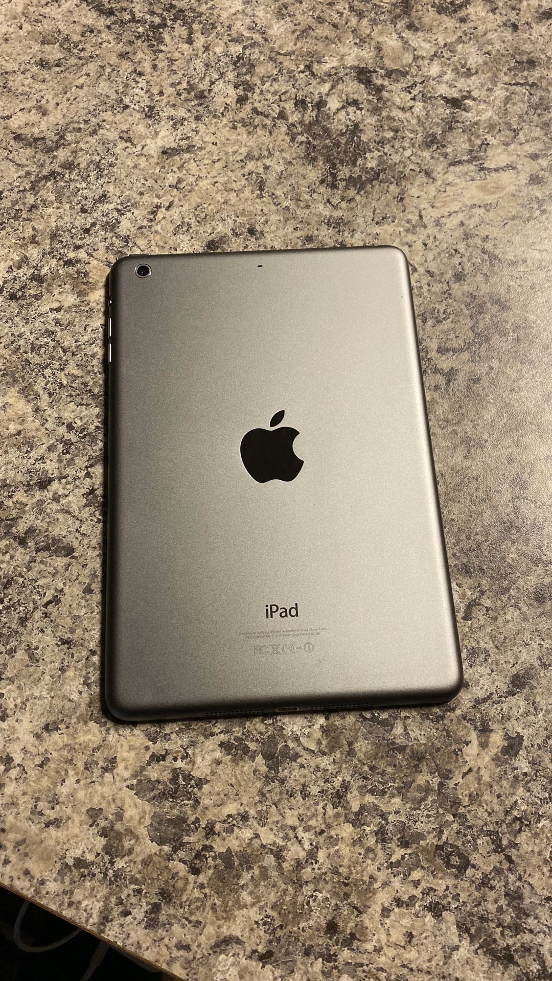 iPad mini with case