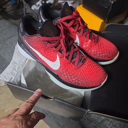 Kobe VI Protro All Star Size 11