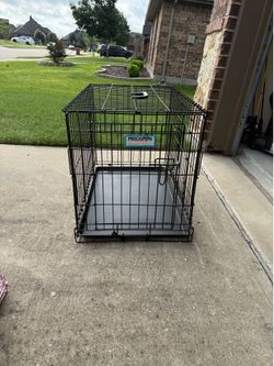 Large dog crate, clean