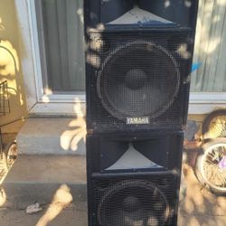 Yamaha concert cheap speakers