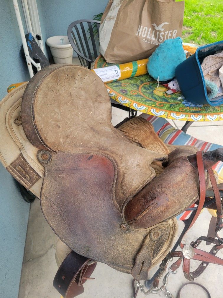 Saddle, Pad, and Bridle