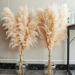 40" inch 10 Stems Natural Pampas Grass Decor