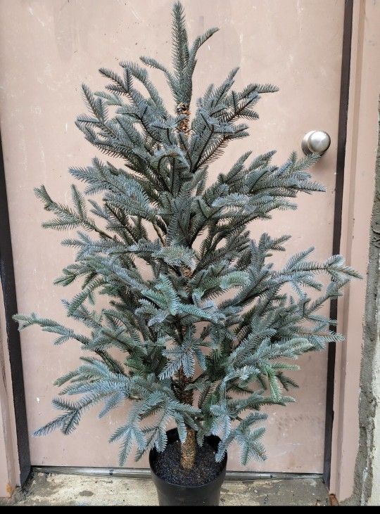 IKEA FEJKA Artificial
potted plant, in/outdoor
Christmas Tree Home
Decor 4.5Tall