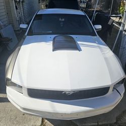 2007 Ford Mustang