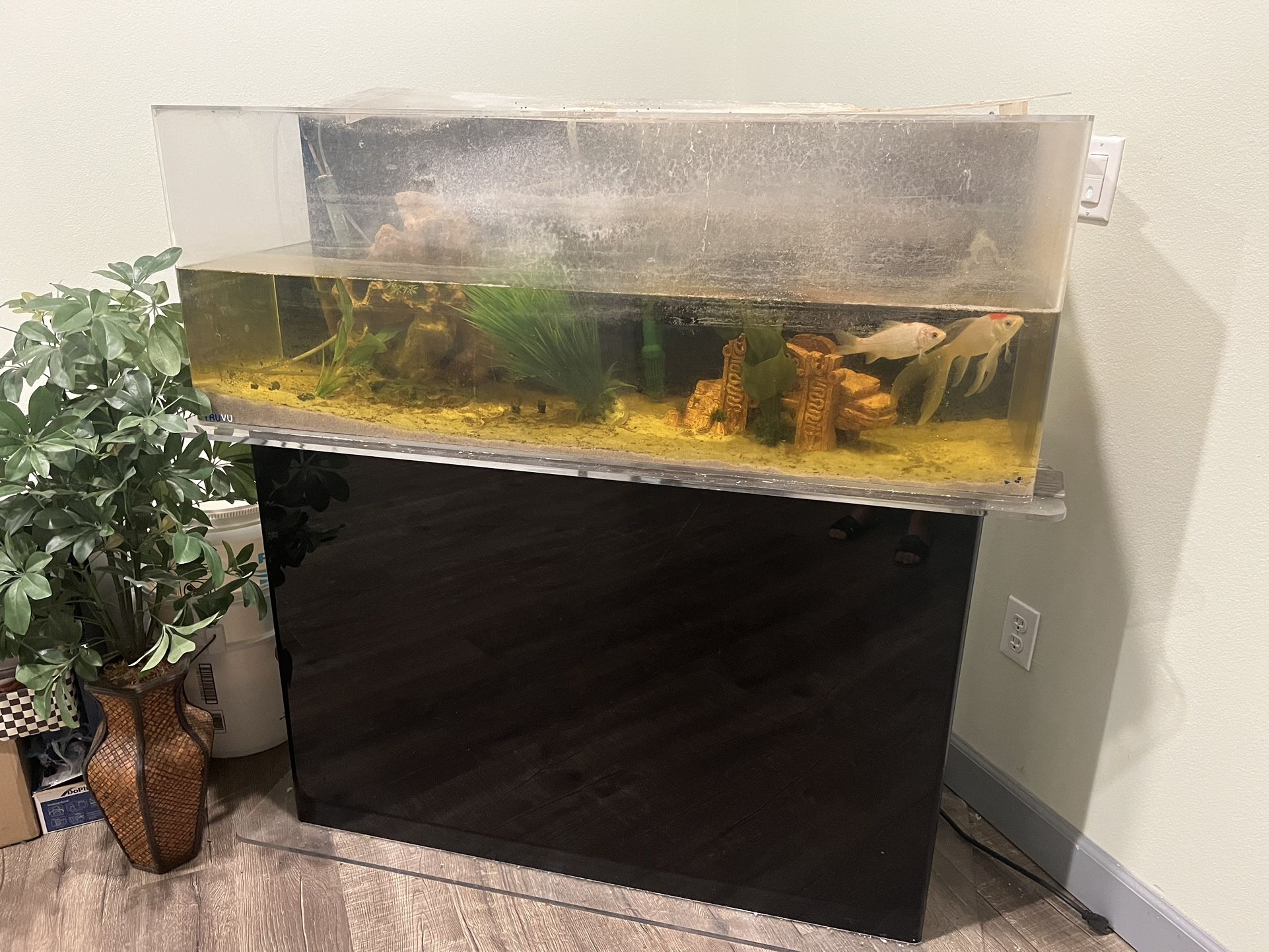 FREE Acrylic Fish Tank (Pick Up Only 91006)