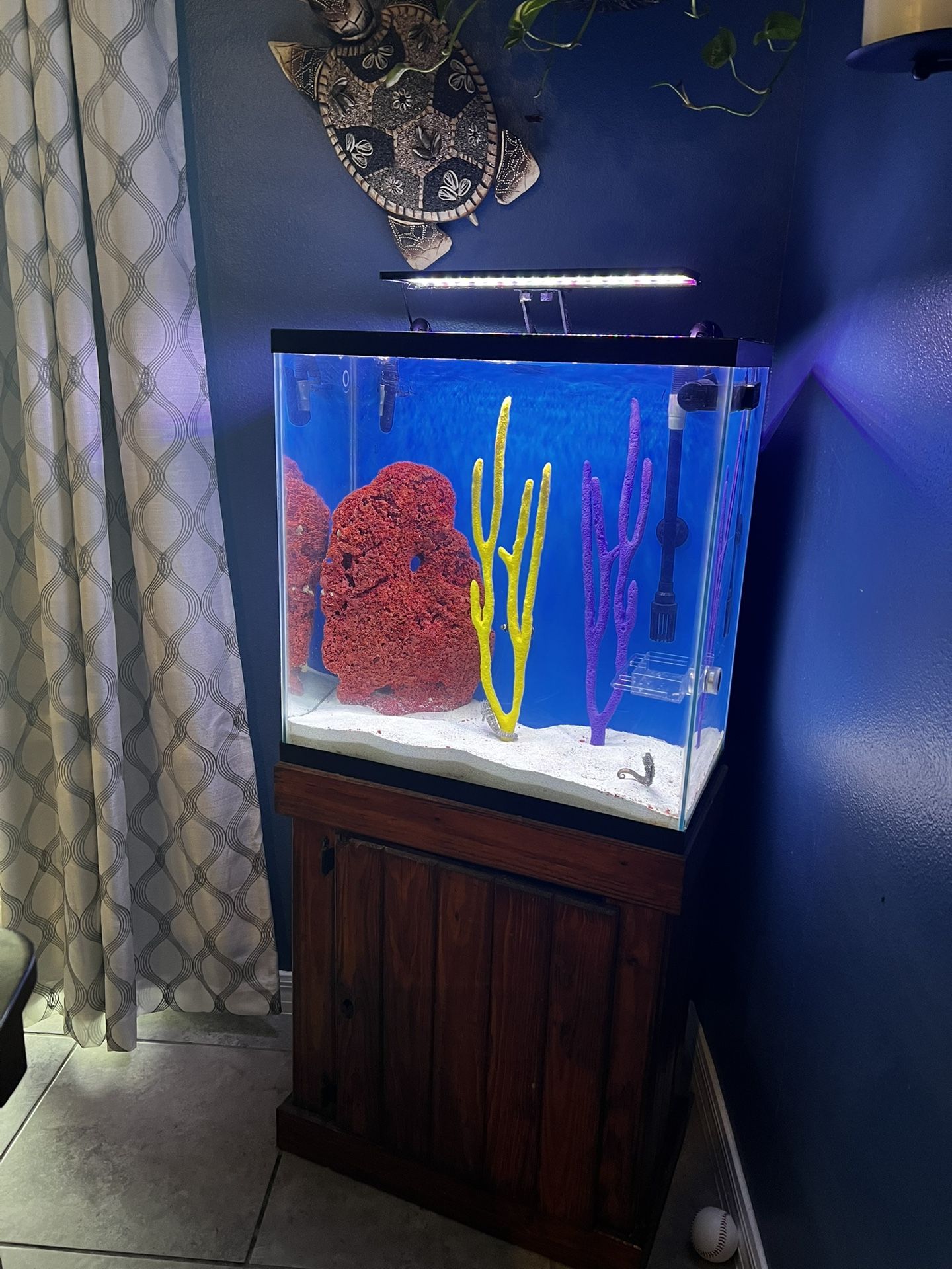 Aquarium (sea Horse Decorations)