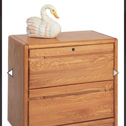 Oak File Cabinet 