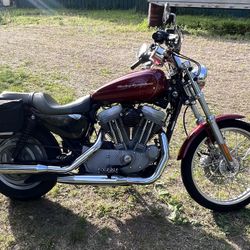 2007 Harley Davidson Sportster 883