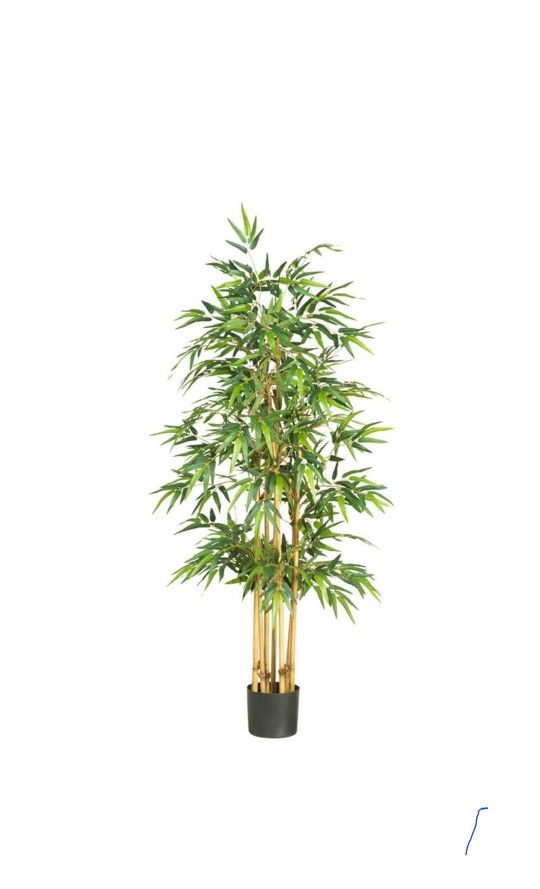 Bamboo Plant Artificial