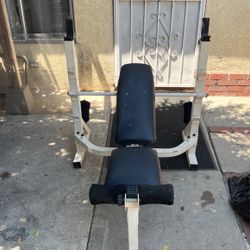 Bench Press