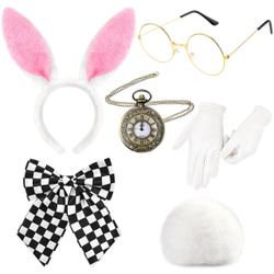 Rabbit Alice In Wonderland Costume Halloween
