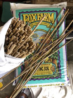 Bamboo sticks and premium Soil