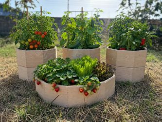 Raised Garden Box