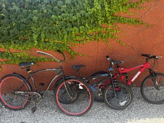 3 Bikes