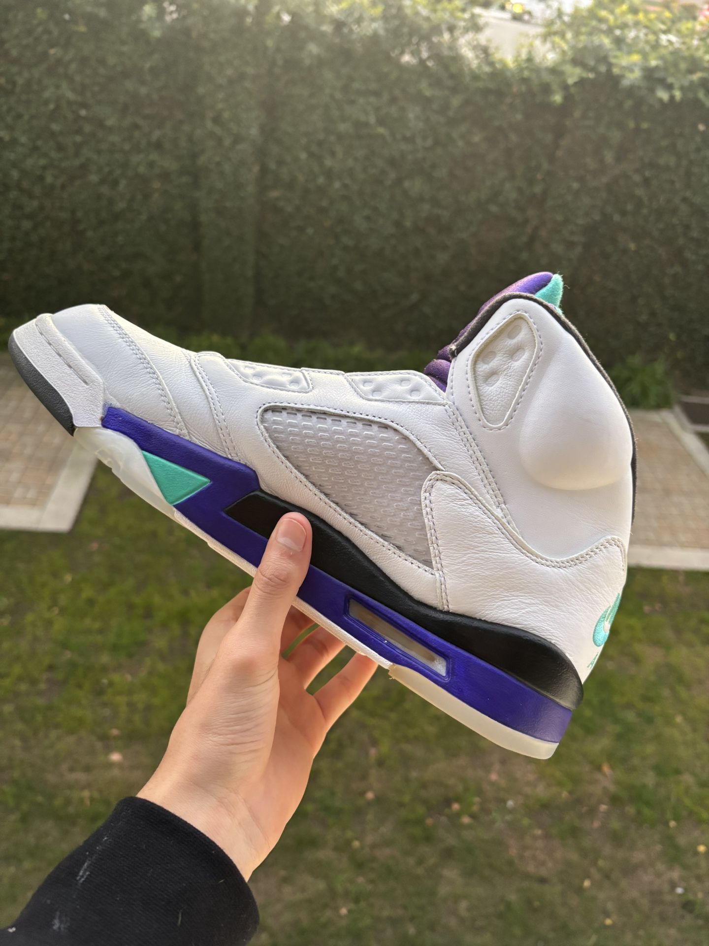 Jordan 5 Retro Fresh Grape Prince