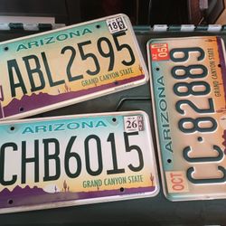 Vintage Arizona License Plates