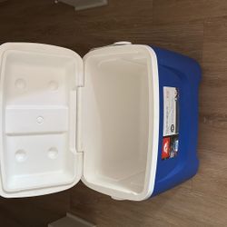 28 Quarts Cooler