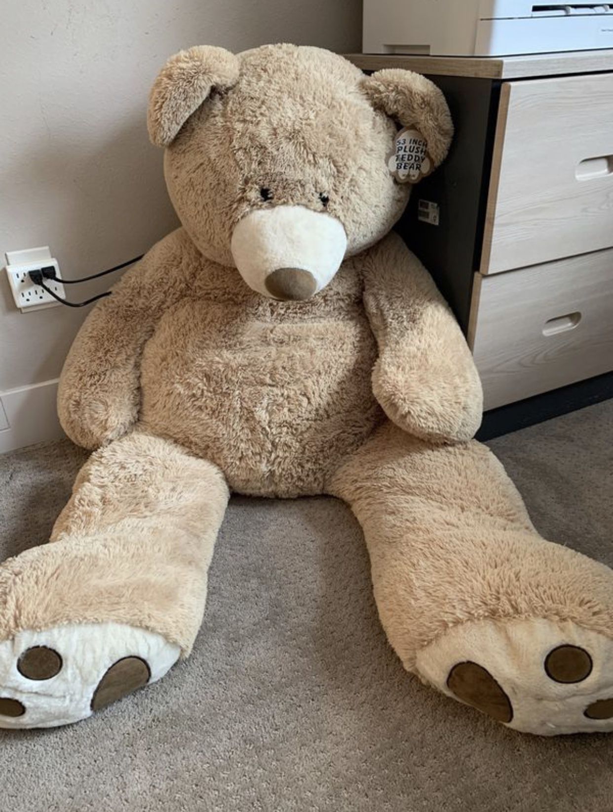 53” Teddy Bear