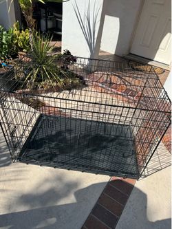 Double door Wire collapsable Dog Crate