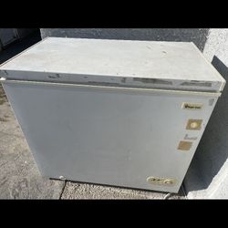Magic Chef Commercial Freezer