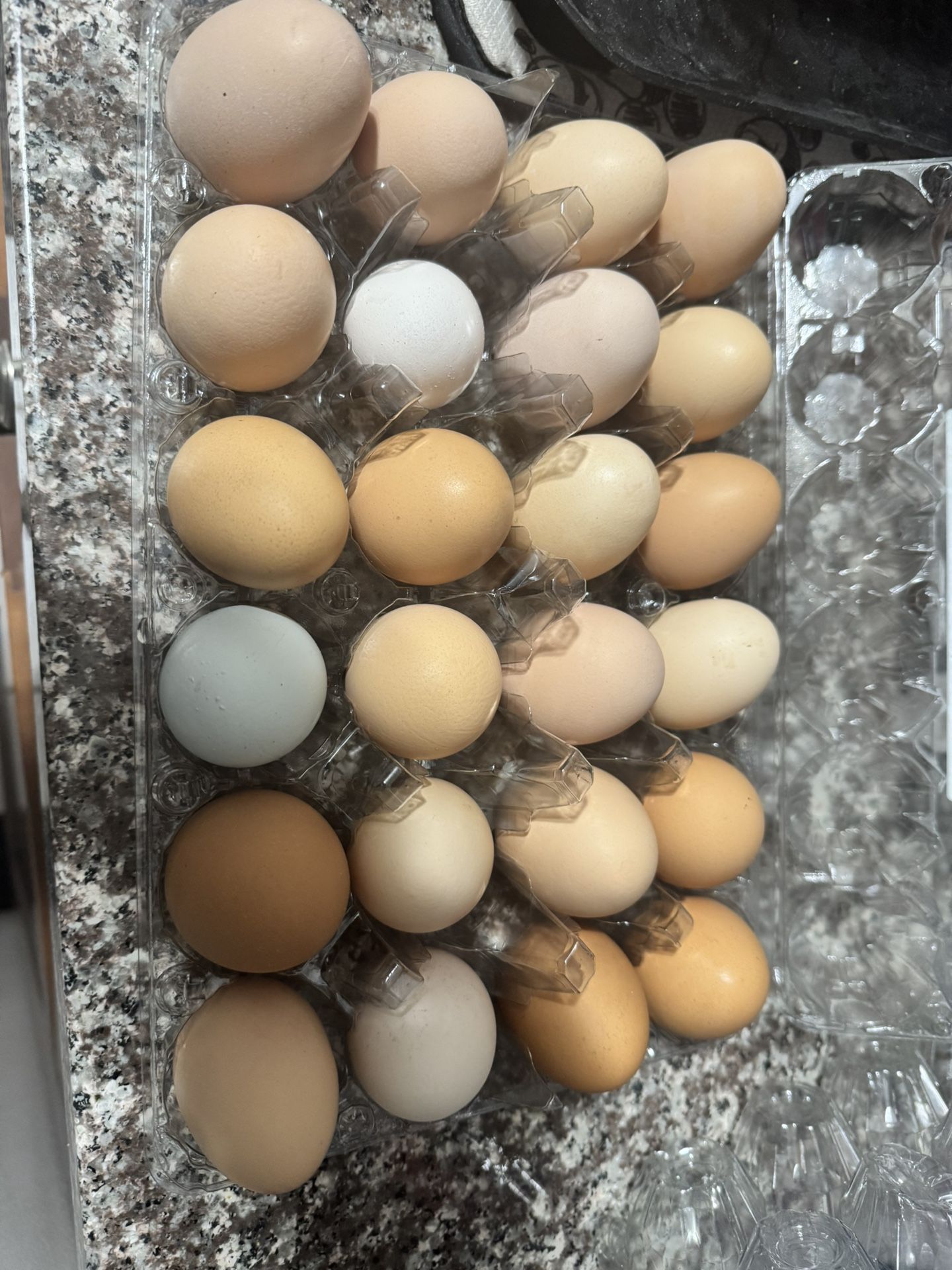 Eggs For Sale