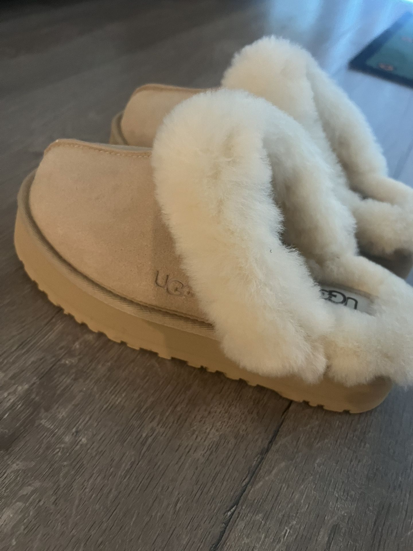 Ugg Disquette Slipper (NEW/Women/size 7)