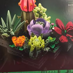Lego Botanicals Succulents 