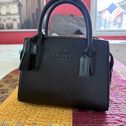 Coach Andrea Small Leather Carryall 