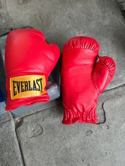 Ever last Boxing Gloves