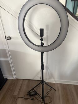 LED Ring Light with Tripod Stand and Phone Holder