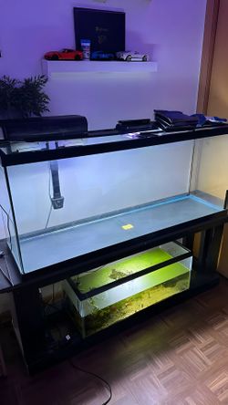 Fish tank