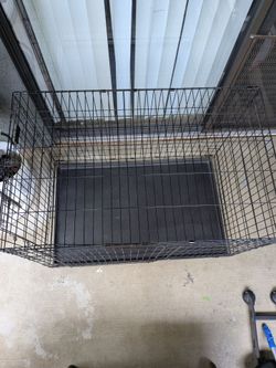 Dog Cage