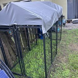 Outdoor Dog Kennel