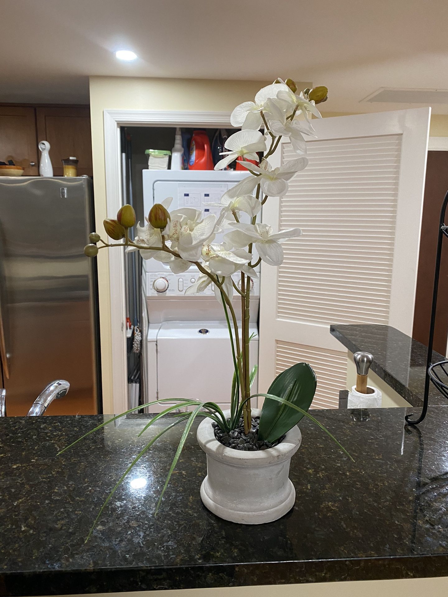 Beautiful & New Orchid Plant - Fake/Faux/Artificial - Phalaenopsis