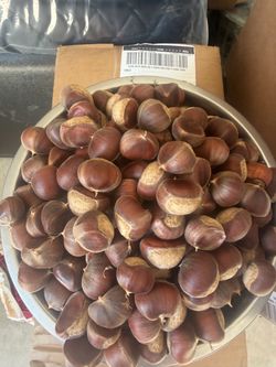 Chest nuts