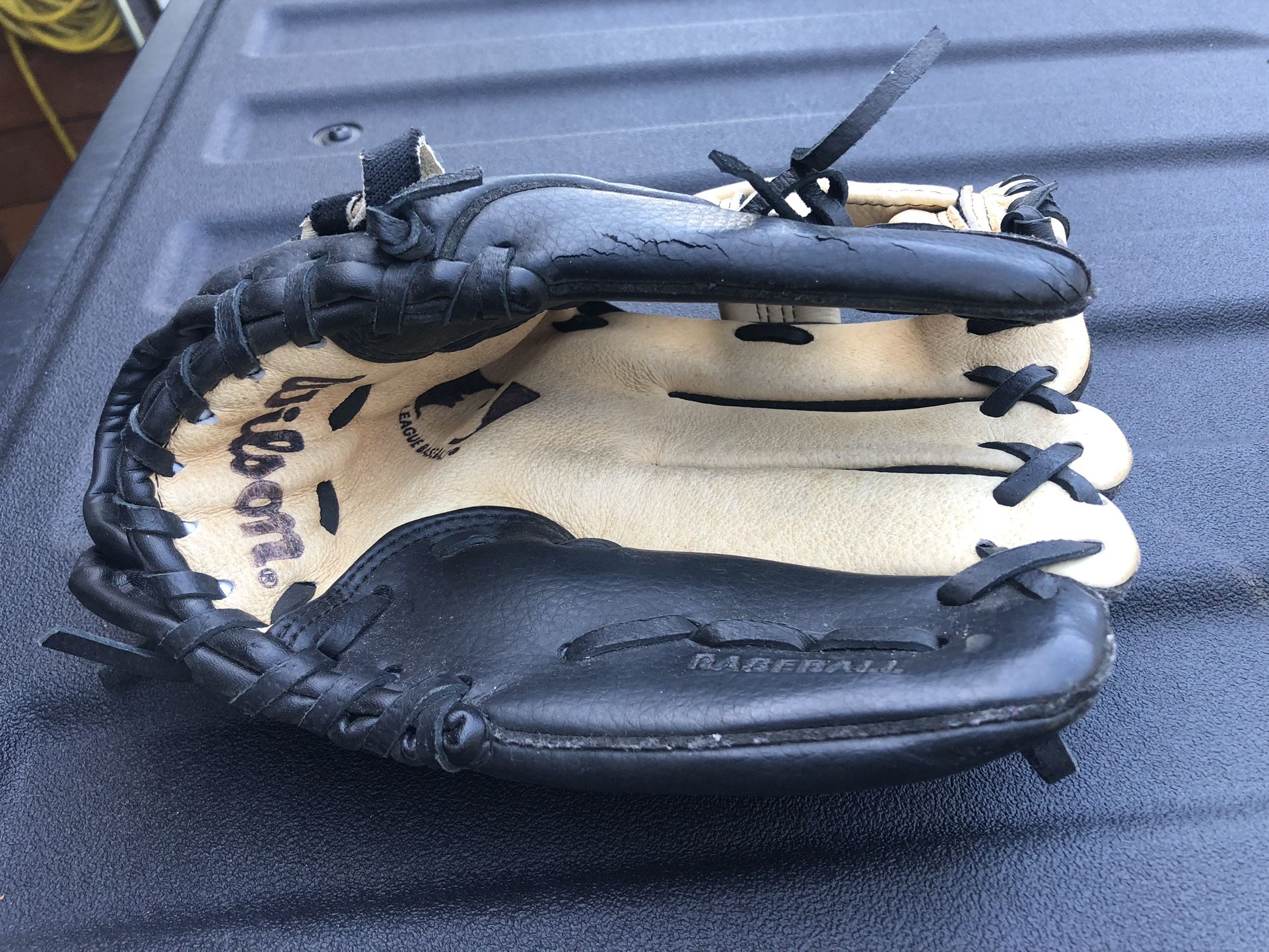 Wilson Kids Glove