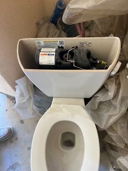 Toilet seat