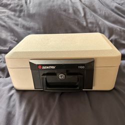 SentrySafe Fireproof Portable Safe