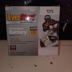 Ever Start Motorcycle Platinum AMG Battery