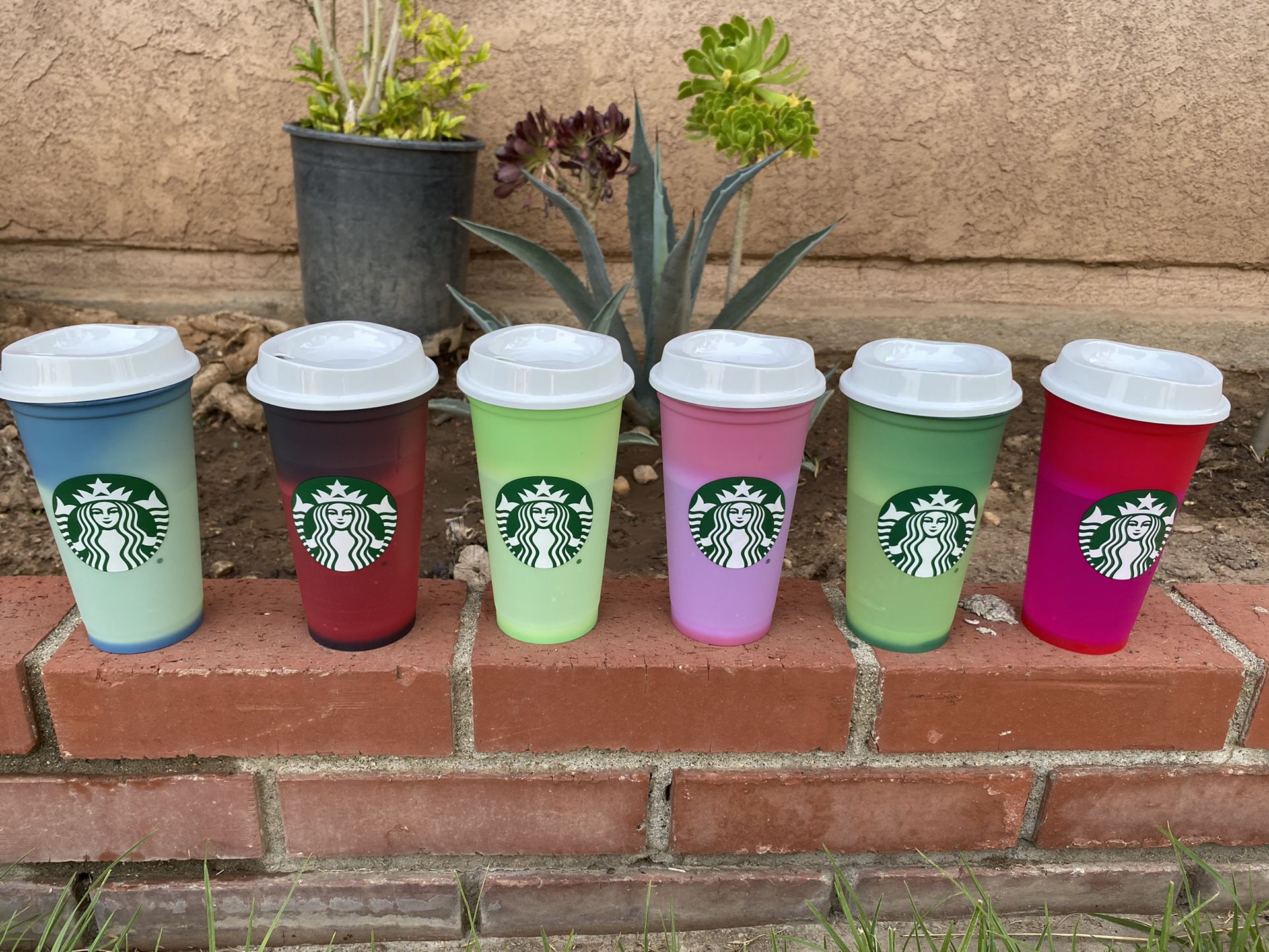 Starbucks Limited Edition Color Changing Coffee Cups
