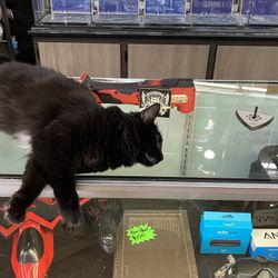 Milwaukee Multi-Tool ( Not The Cat )