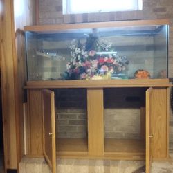 Fish Tank