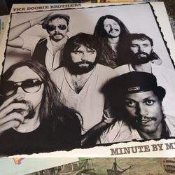 Doobie Brothers On Vinyl 