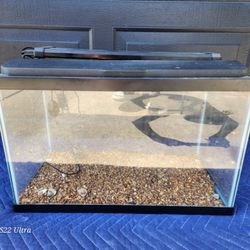 10g fish tank with lid and Nicrew LED lights