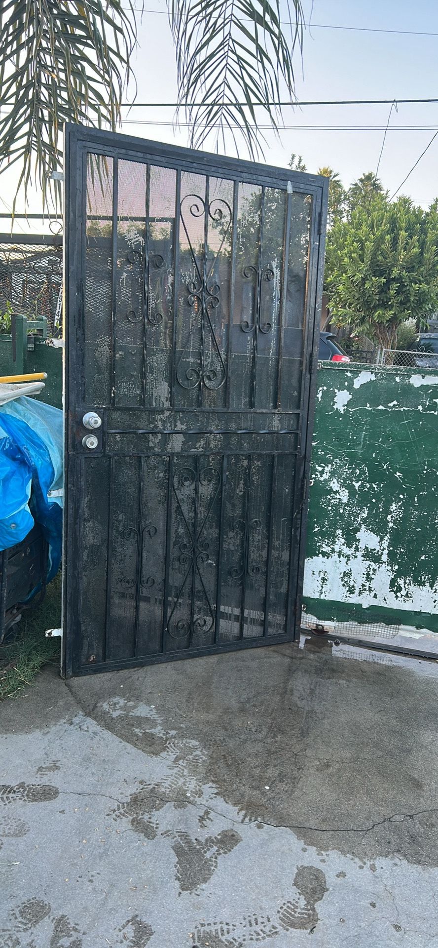 Screen Security Door 45x 82