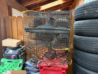 Crab and Shrimp Pots