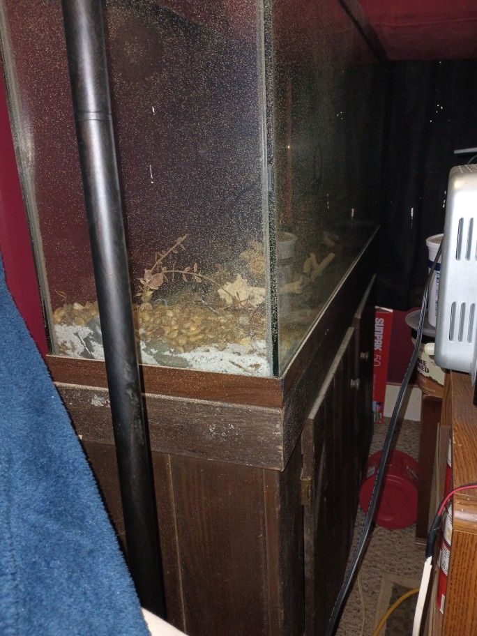 Fish Tank 50gallon