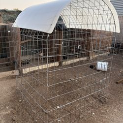 Bird Cage Rooster Cage Jaulas Cages 