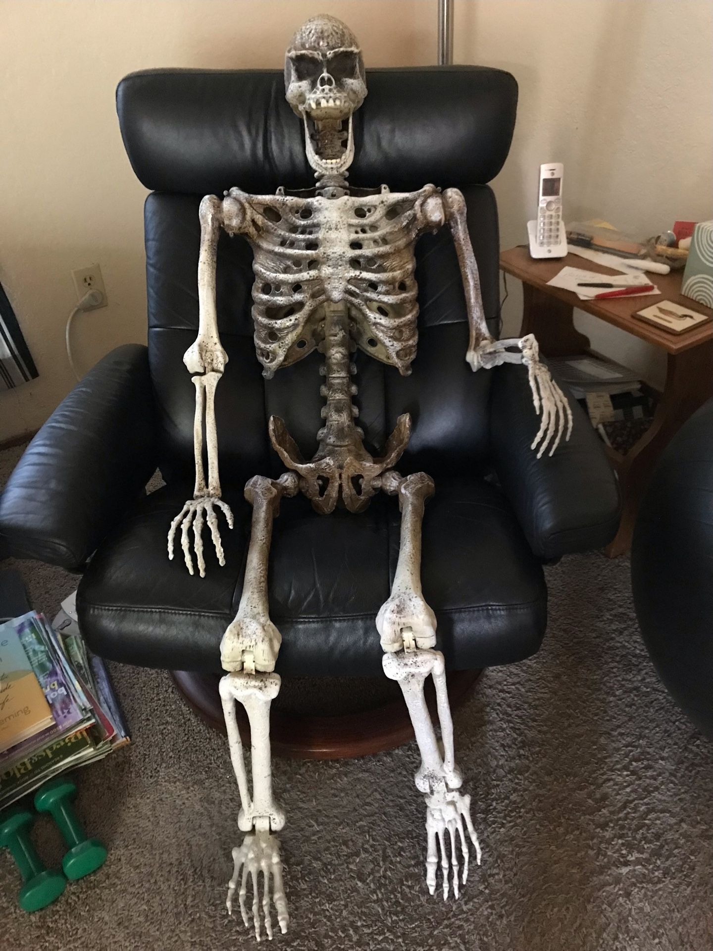Skeleton..decorative..$30